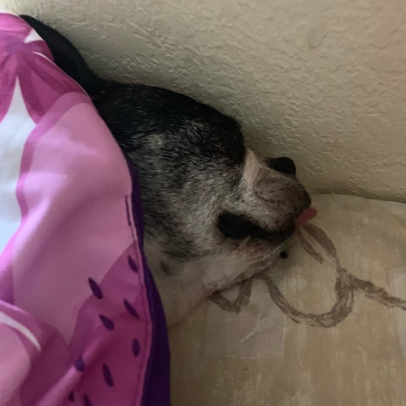 Meet your Posher, Andrea - Picture 3 of 7